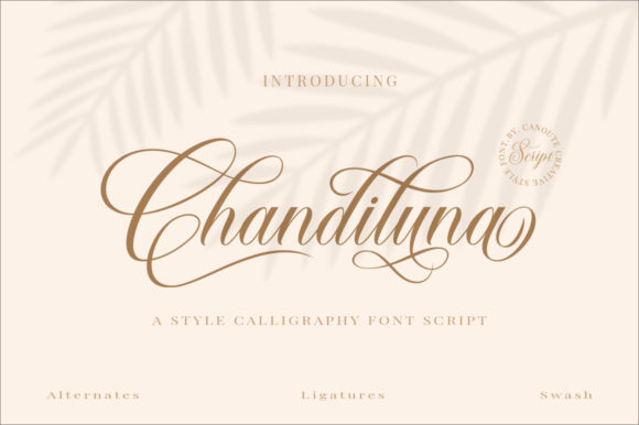 Chandiluna: A Handwritten Font for Modern Web Design