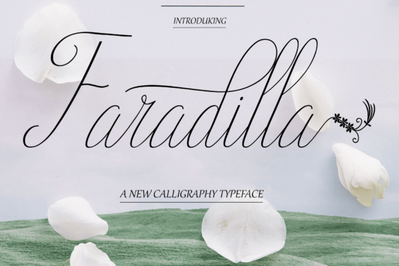 Faradilla Font Review: Elevating Small Business Branding