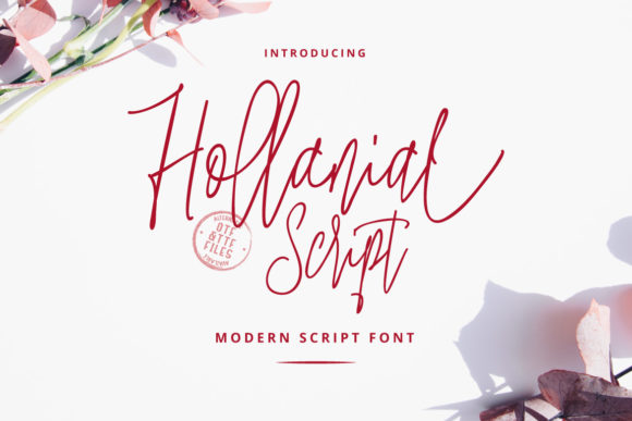 Hollanial Font Review: A Modern Script for Branding