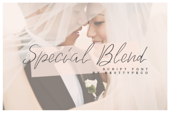 Special Blend Font Review: A Marketer's Take on Campaign Design