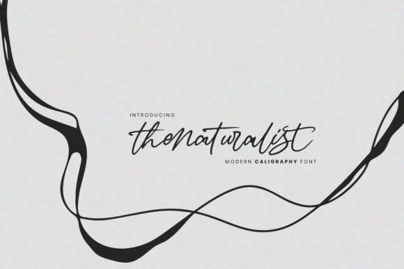 The Naturalist: A Relaxed Handwritten Typeface for Modern Editorial Design